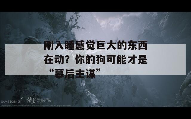 刚入睡感觉巨大的东西在动？你的狗可能才是“幕后主谋”