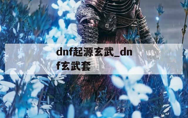 dnf起源玄武_dnf玄武套