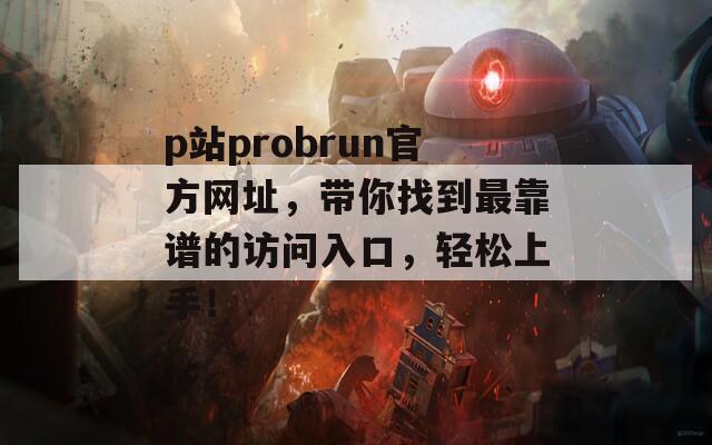 p站probrun官方网址，带你找到最靠谱的访问入口，轻松上手！