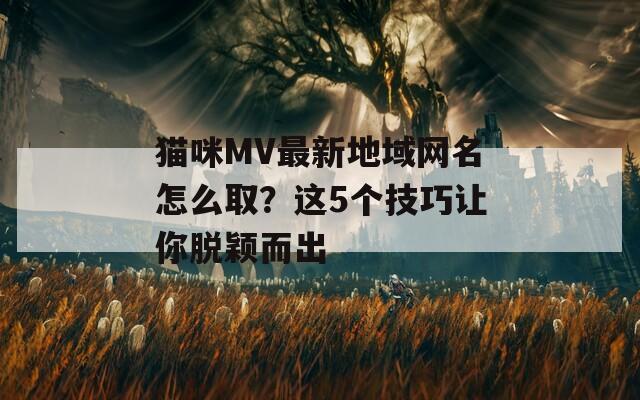 猫咪MV最新地域网名怎么取？这5个技巧让你脱颖而出