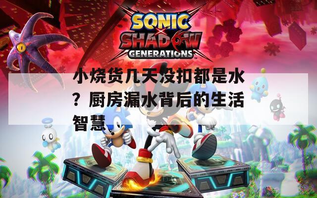 小烧货几天没扣都是水？厨房漏水背后的生活智慧