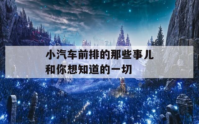 小汽车前排的那些事儿和你想知道的一切