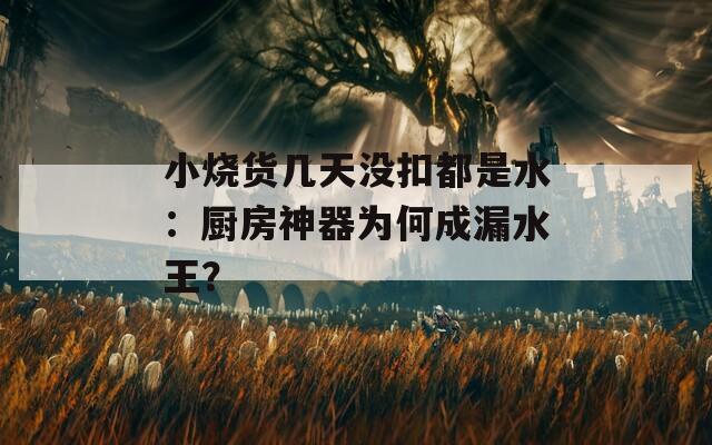 小烧货几天没扣都是水：厨房神器为何成漏水王？