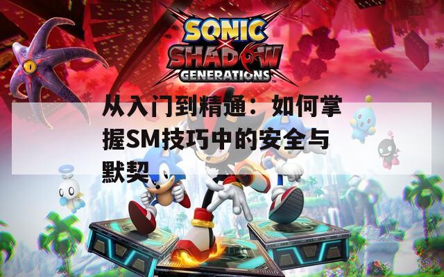 从入门到精通：如何掌握SM技巧中的安全与默契