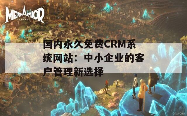 国内永久免费CRM系统网站：中小企业的客户管理新选择