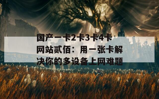 国产一卡2卡3卡4卡网站贰佰：用一张卡解决你的多设备上网难题