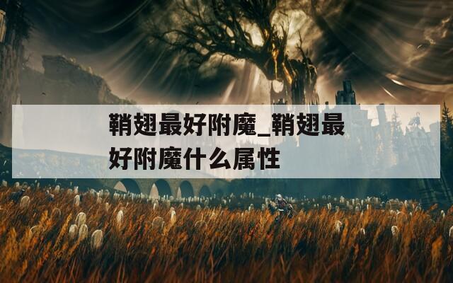 鞘翅最好附魔_鞘翅最好附魔什么属性